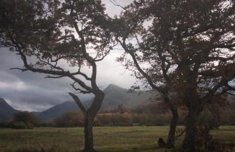 Claires Cottage - Photo 52