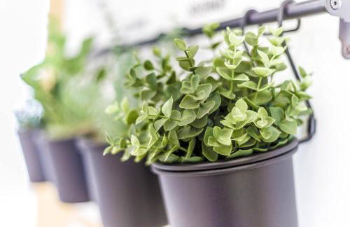 Flint House - Bracklesham Bay - Foto 13