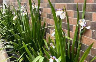 Loft Aconchego de Beija - Foto 17