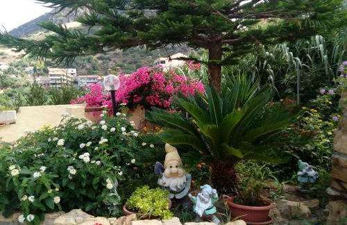 Sa Corte Antiga - Foto 18