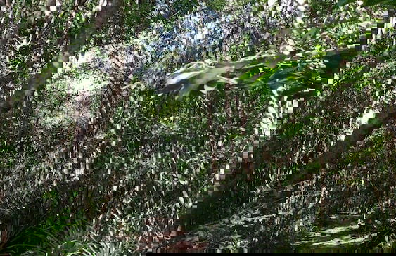 Beachfront Studios - Photo 29