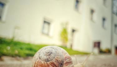 Quartier Apartment - alte Steigerbaude - Foto 2