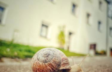 Quartier Apartment - alte Steigerbaude - Foto 2