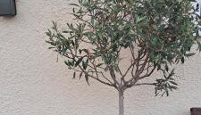 The Stable - Photo 2