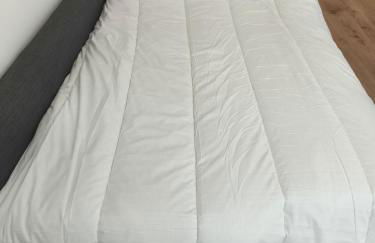 Oasis Deluxe licencia 14931 - Foto 2