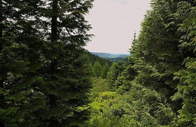 Charming Forest Escape for Two - Foto 32