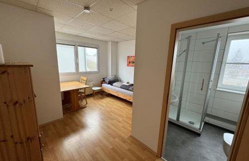 Pension Schweizer - Foto 45