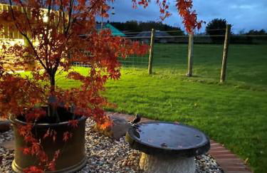 Courtyard Cottage - Photo 11