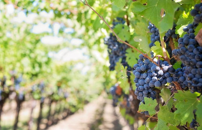 La Casa degli Archi - Foto 30