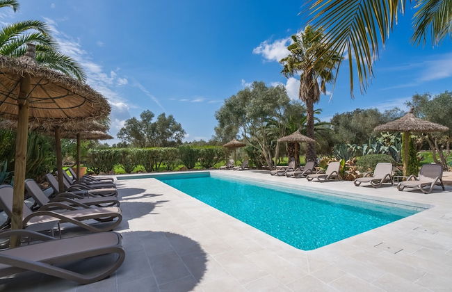 Can Pina - Eco Pina - - Photo 32