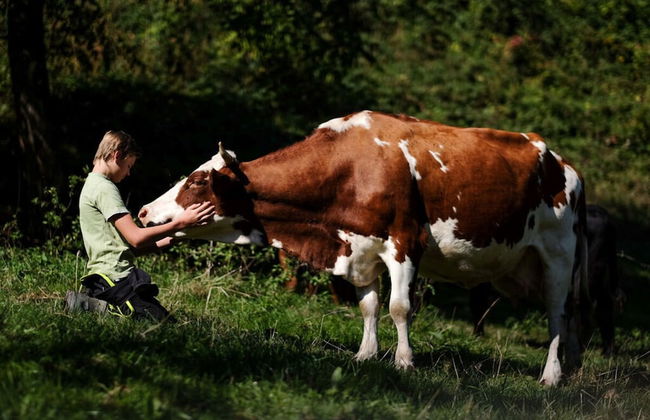 Nice Apartment in Oberkirch - Foto 14