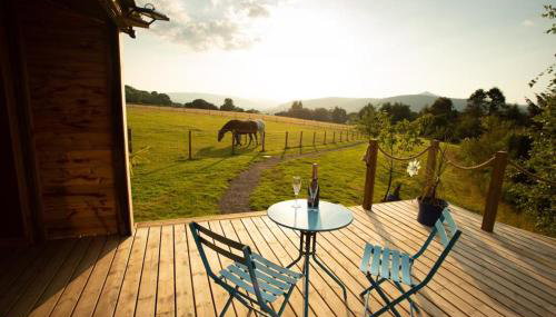 The Lily Pod at Nest and Loaf - Foto 3, Garden, Garden view