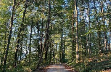 Charismatisch und gemütlich in Güttingen, nah zum Buchensee und Bodensee, tolle Lage - Foto 19