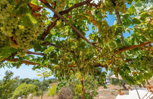 Casa Lluna - Photo 18