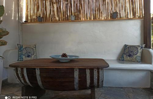 Cactus Home - Foto 32