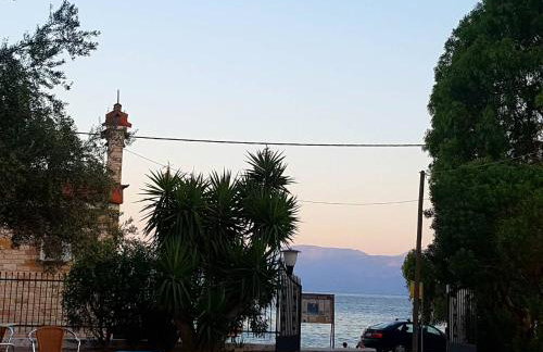 Oasis Studios AG PANTES - Photo 17