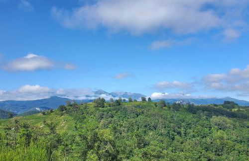 Gite La Grangette de Pauline - Foto 40