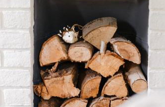 Salthouse Cottage in Ironbridge - Foto 11