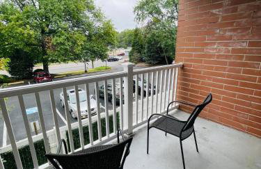 Freshly Renovated 2BR2BA Apt Walk-In Closet - Foto 15