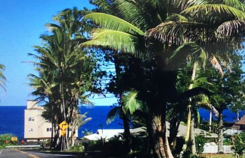 Mediteranean style Ohana Rental / Garden Bungalow in Pahoa - Photo 38