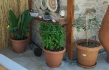 Namaste Family House - Photo 59