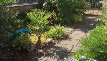 VIP Appartement - Foto 3