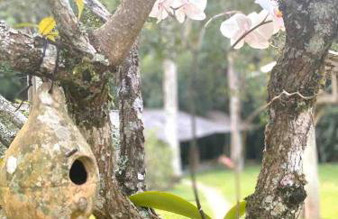 Refúgio do Brilhantte-Belo sítio com piscina e spa - Photo 41