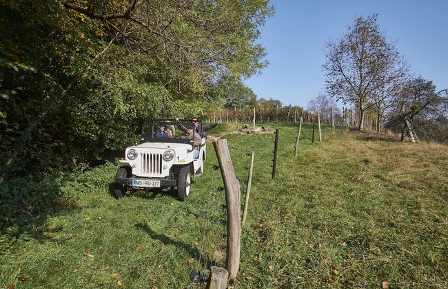 Holiday House Podhamer Boris With Private Wellness - Foto 26