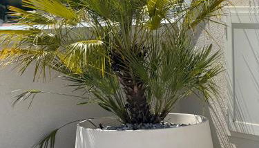 Attico Sole a Jesolo con terrazza panoramica - Foto 3