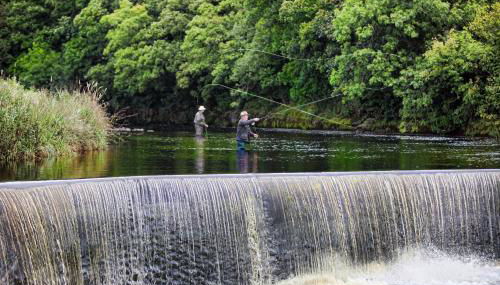 Linton Court Coach House - Foto 5