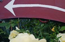 B&B Home Holiday Villa delle Acacie agriturismo - Foto 9