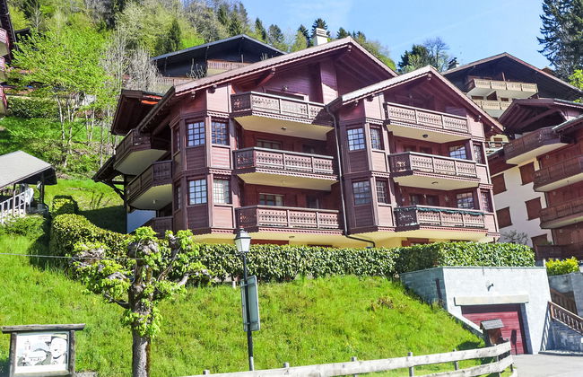 Bouquetins - Photo 1