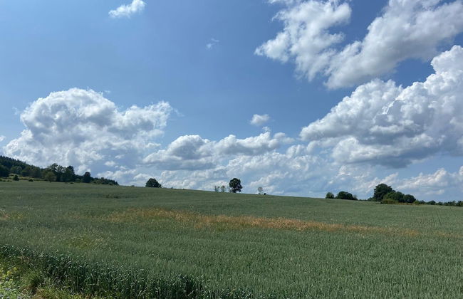 Holiday Home in Lierneux With Private Garden - Photo 36