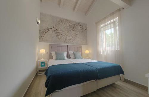 Villa Mila Rovinj - Photo 22