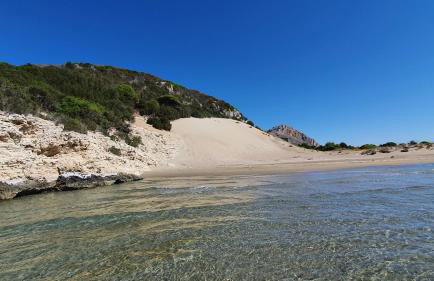 Villa Dunes 350m from the sandy beach - Foto 15