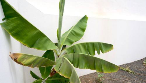 Kalendra Rofe · Amplia y tranquila cerca del mar - Foto 4