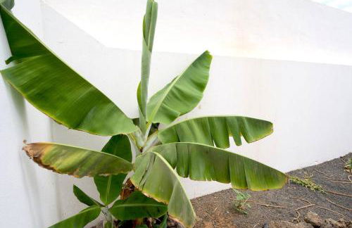 Kalendra Rofe · Amplia y tranquila cerca del mar - Foto 4