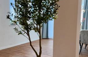 Casa Olivia- Mediterranes Wohnen mit Terrasse und Garten - Foto 6