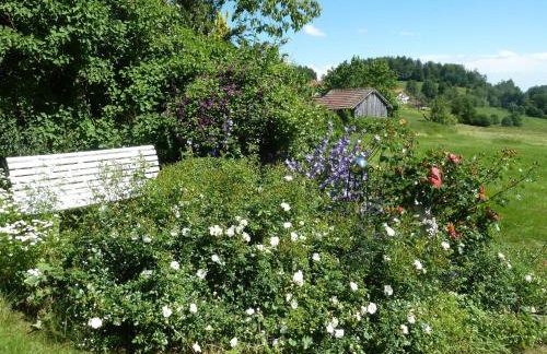 Apartment Wildfeuer by Interhome - Foto 27