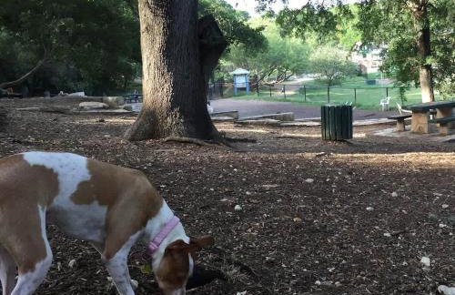 Steps away from Downtown Restaurants and Bars - King Bed - Foto 27