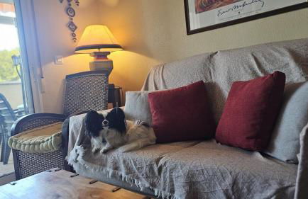 Casa Palmeral Oasis with Pool - Foto 29