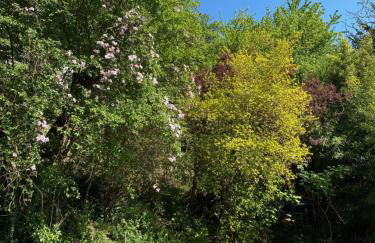 Pantone Ultra - Foto 25