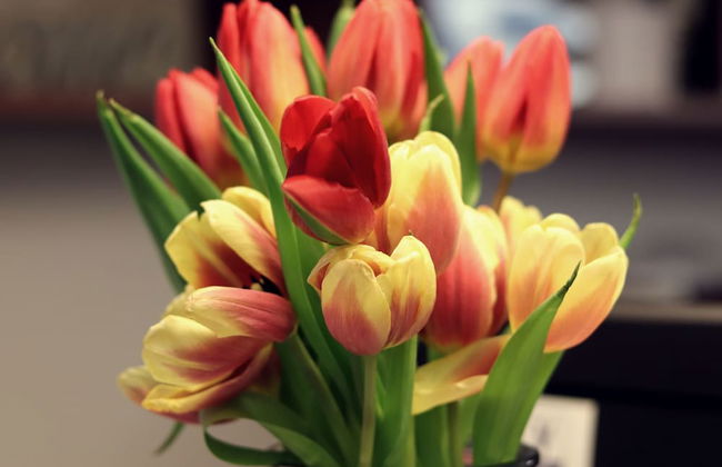 Apart Hotel FirstBoarding Bayreuth - Photo 2