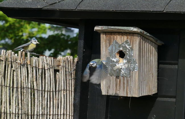 Holiday Apartment Zonnewende 16 - Foto 13