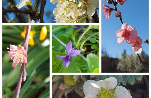 The Cottage near the lake - Foto 30