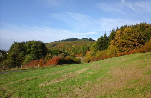 Ferienwohnungen Blum - Foto 24