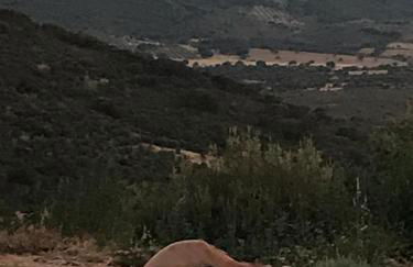 Cigarral Bramasole - Foto 41