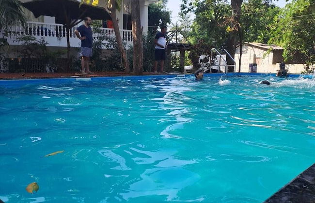 Apricot Inn - Foto 9