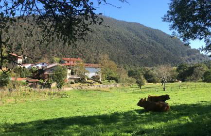 La Galayca - Foto 32