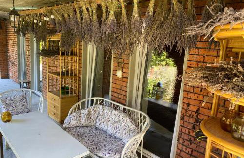 Lawendowa Przystań Sandomierska - Foto 1